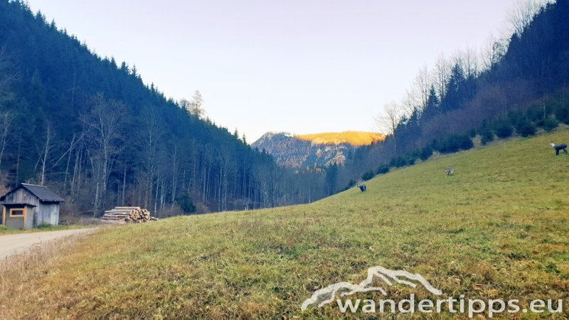 Hennesteck von Norden Abbildung 23