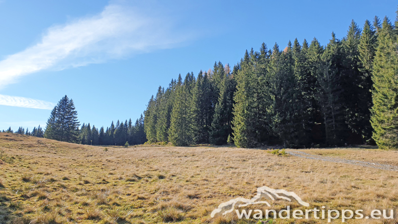 Hennesteck von Norden Abbildung 6