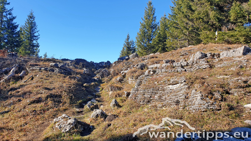 Hennesteck von Norden Abbildung 8