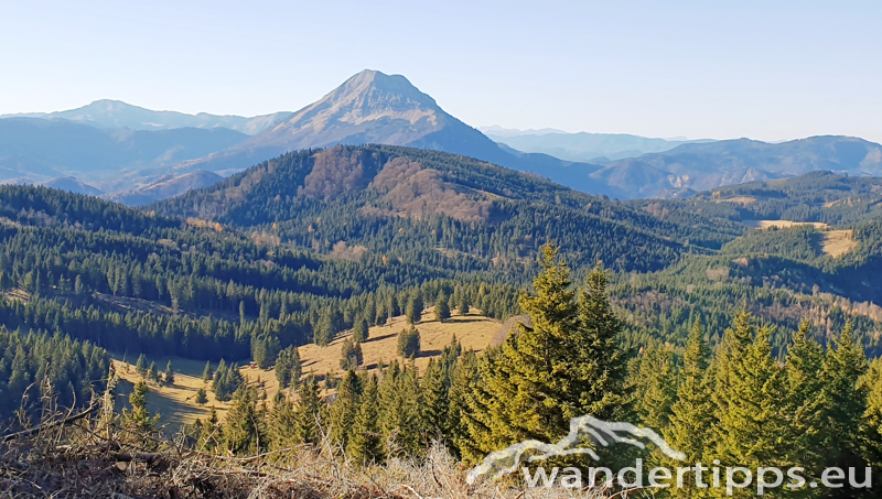 Hennesteck von Norden Abbildung 10