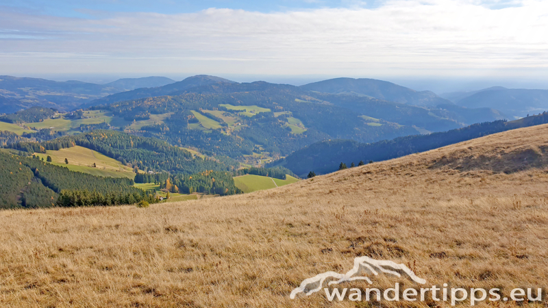Plankogel von Süden Abbildung 15