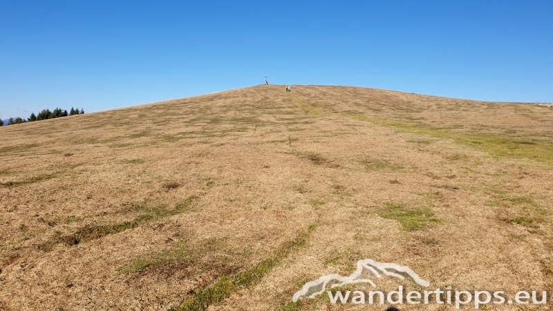 Plankogel von Süden Abbildung 9