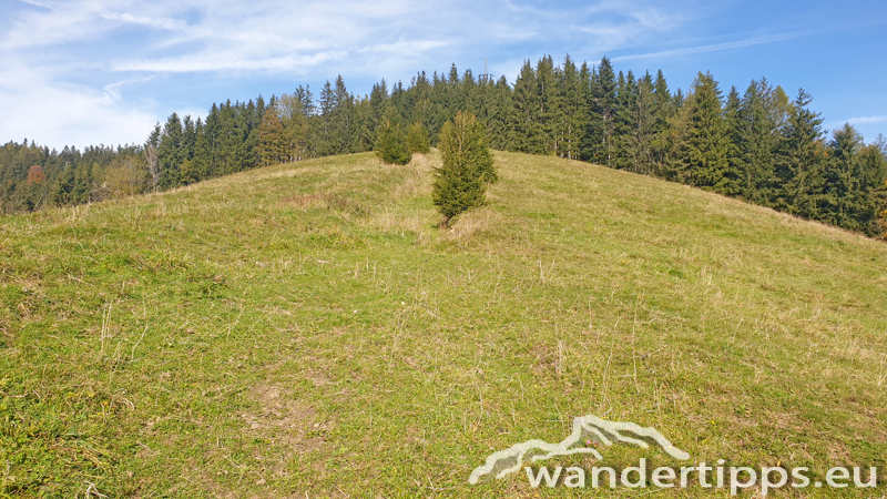 Pernecker Kogel Abbildung 14