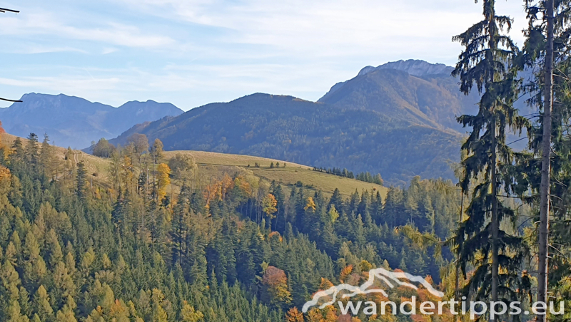 Pernecker Kogel Abbildung 17