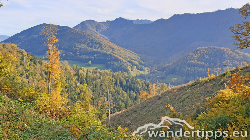 Pernecker Kogel Abbildung 19