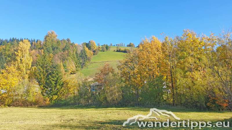 Pernecker Kogel Abbildung 3