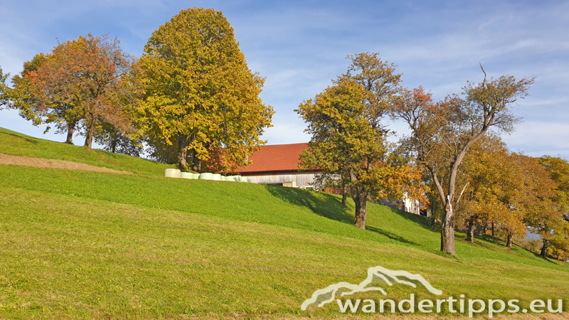 Pernecker Kogel Abbildung 21