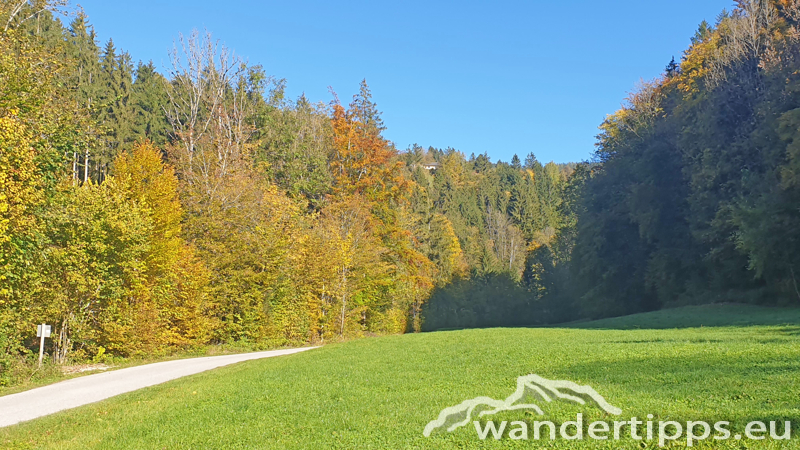 Pernecker Kogel Abbildung 5