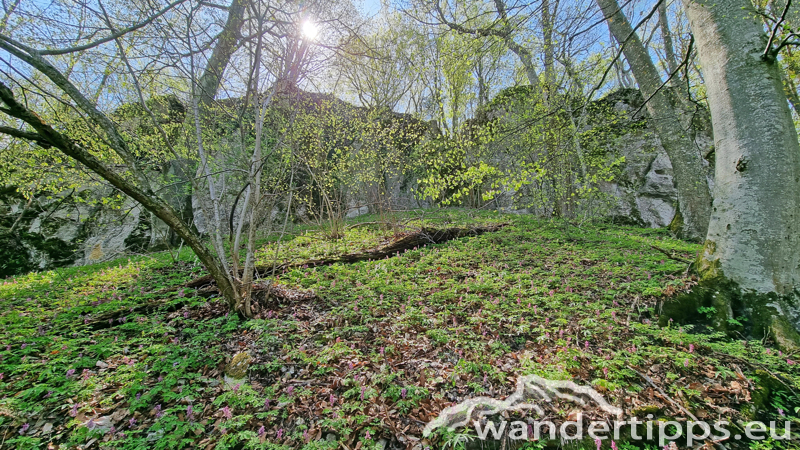 Staffspitze Abbildung 13