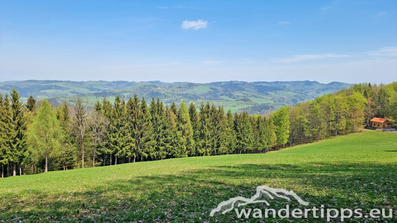 Staffspitze Abbildung 14