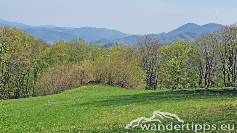 Staffspitze Abbildung 15