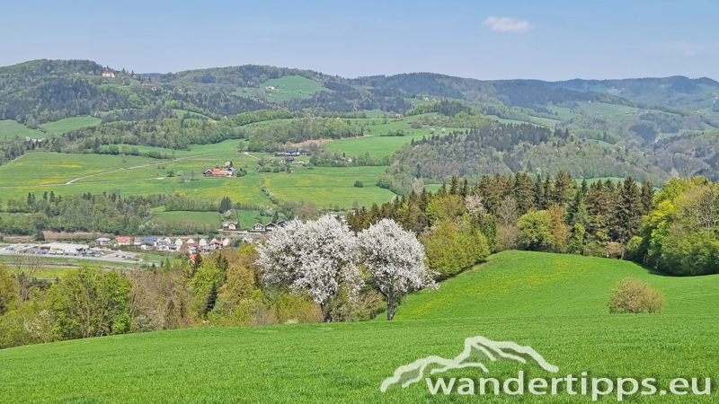 Staffspitze Abbildung 18