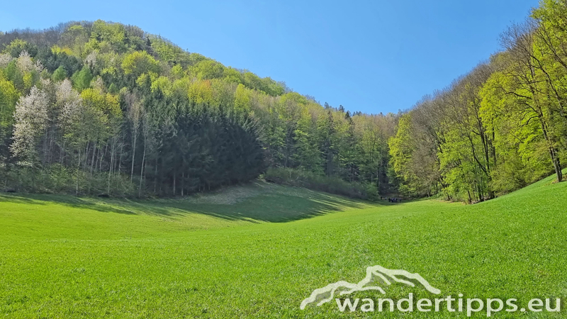 Staffspitze Abbildung 7