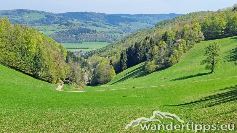 Staffspitze Abbildung 8