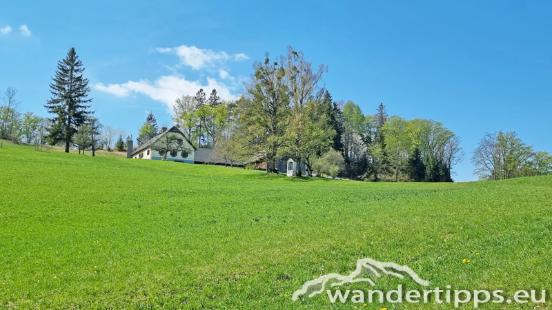 Staffspitze Abbildung 9