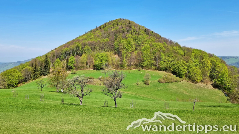 Staffspitze Abbildung 10