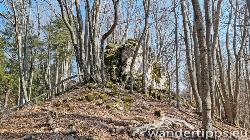 Geißbühel von Norden Abbildung 12