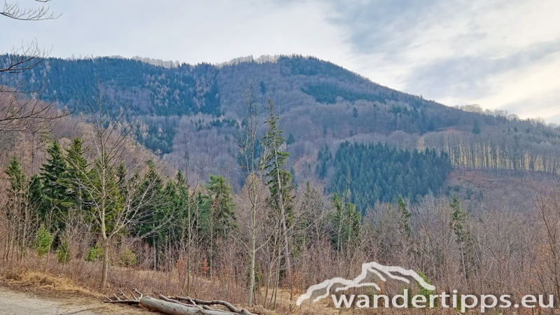 Geißbühel von Norden Abbildung 9