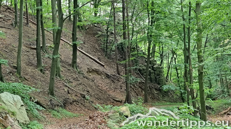 Seekopf Abbildung 13