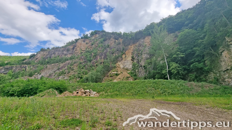 Seekopf Abbildung 16