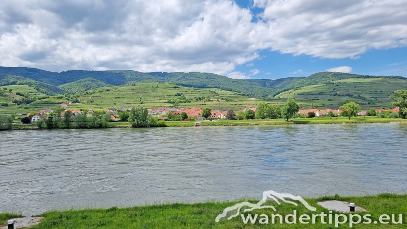 Seekopf Abbildung 17