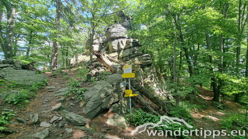 Seekopf Abbildung 10