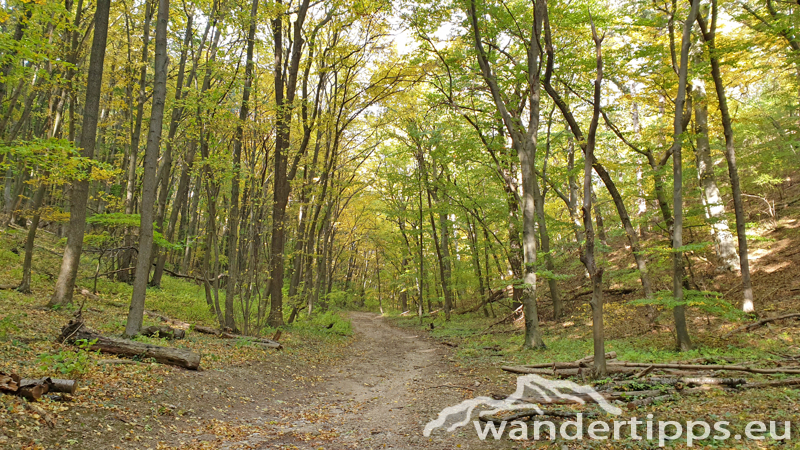 Anninger von Nordosten Abbildung 15