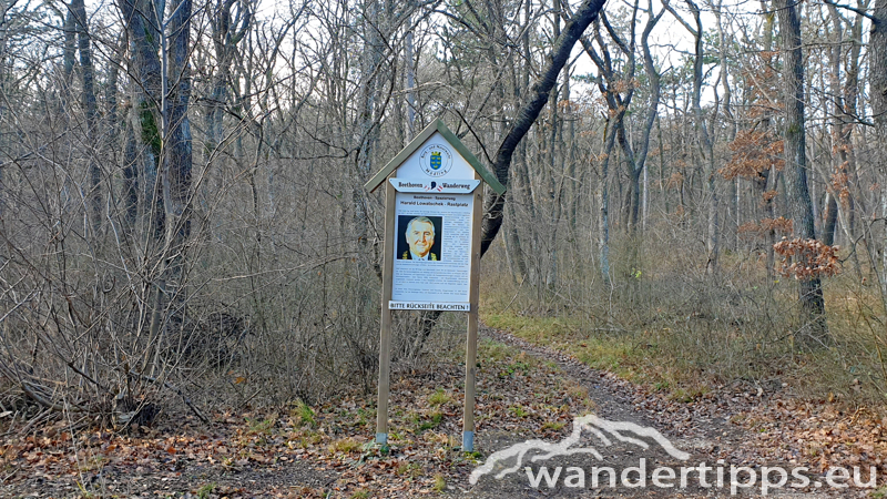 Anninger von Nordosten Abbildung 4