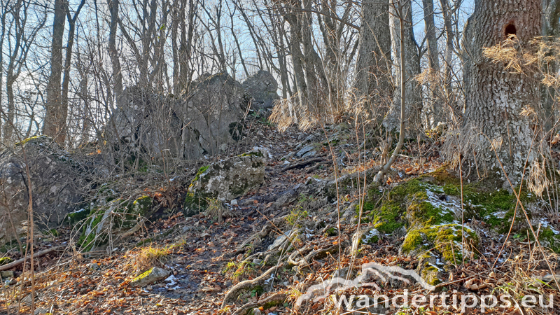 Anninger von Nordosten Abbildung 5