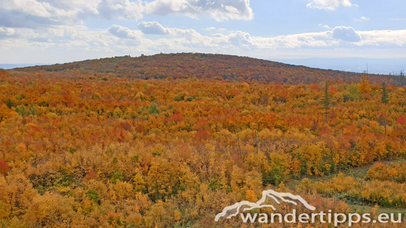 Anninger von Nordosten Abbildung 10