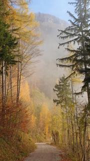 Prochenberg von Norden Abbildung 19