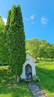 Prochenberg von Norden Abbildung 3