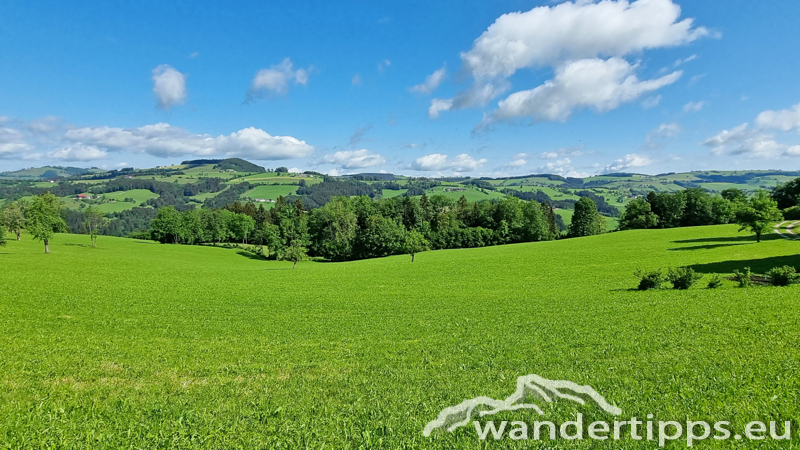 Prochenberg von Norden Abbildung 2