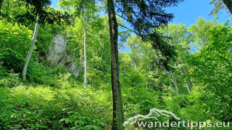 Vordere Wand/Skywalk Abbildung 19