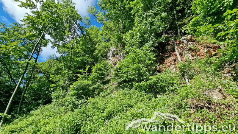 Vordere Wand/Skywalk Abbildung 4