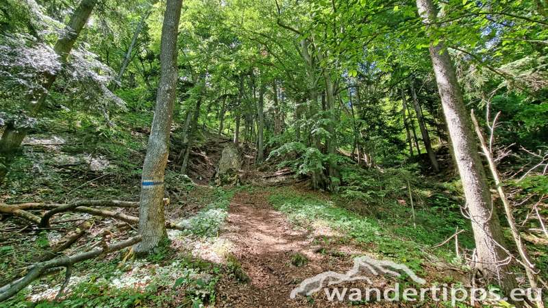 Vordere Wand/Skywalk Abbildung 5