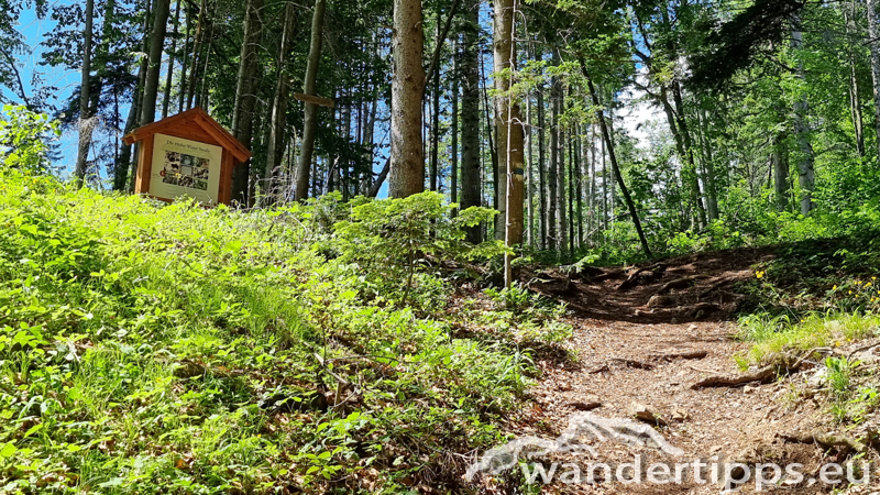 Vordere Wand/Skywalk Abbildung 6