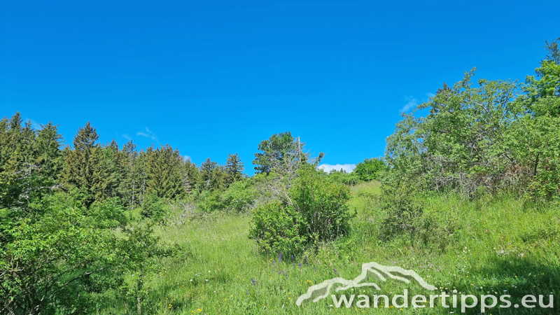 Vordere Wand/Skywalk Abbildung 8