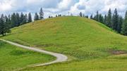 Krinnenalpe-Nesselwängler Edenalpe Abbildung 11