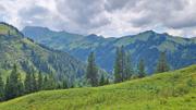 Krinnenalpe-Nesselwängler Edenalpe Abbildung 14