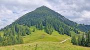 Krinnenalpe-Nesselwängler Edenalpe Abbildung 16