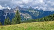 Krinnenalpe-Nesselwängler Edenalpe Abbildung 17