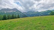 Krinnenalpe-Nesselwängler Edenalpe Abbildung 18