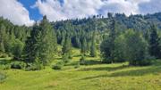 Krinnenalpe-Nesselwängler Edenalpe Abbildung 3