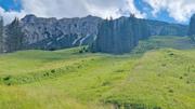 Krinnenalpe-Nesselwängler Edenalpe Abbildung 5