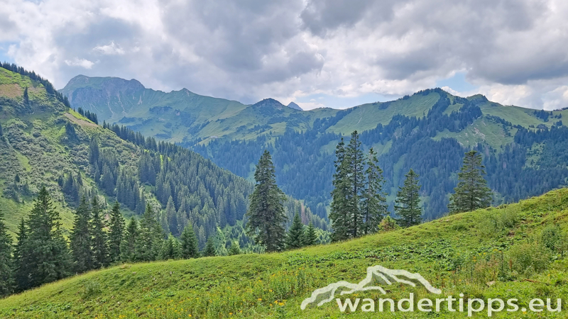 Krinnenalpe-Nesselwängler Edenalpe Abbildung 14