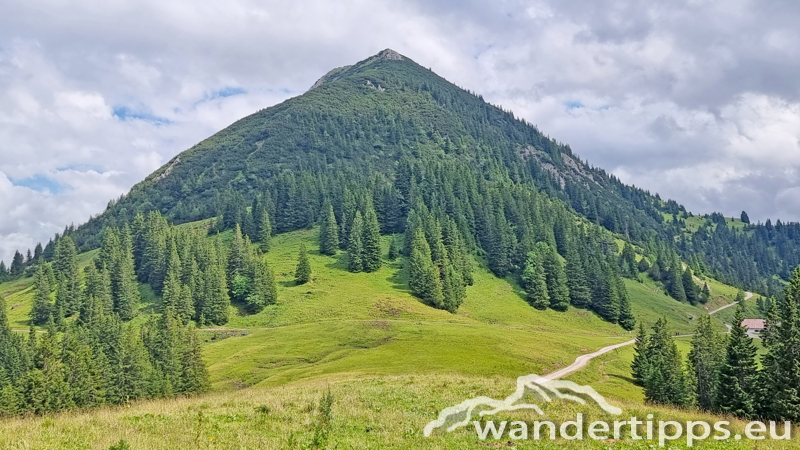 Krinnenalpe-Nesselwängler Edenalpe Abbildung 16