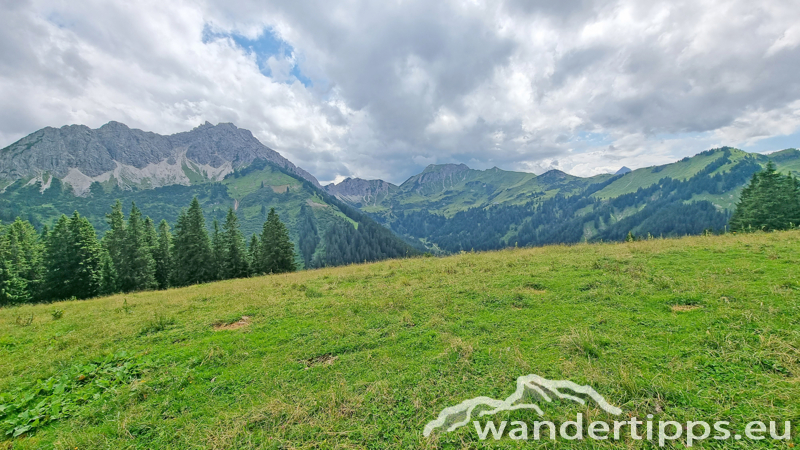 Krinnenalpe-Nesselwängler Edenalpe Abbildung 18