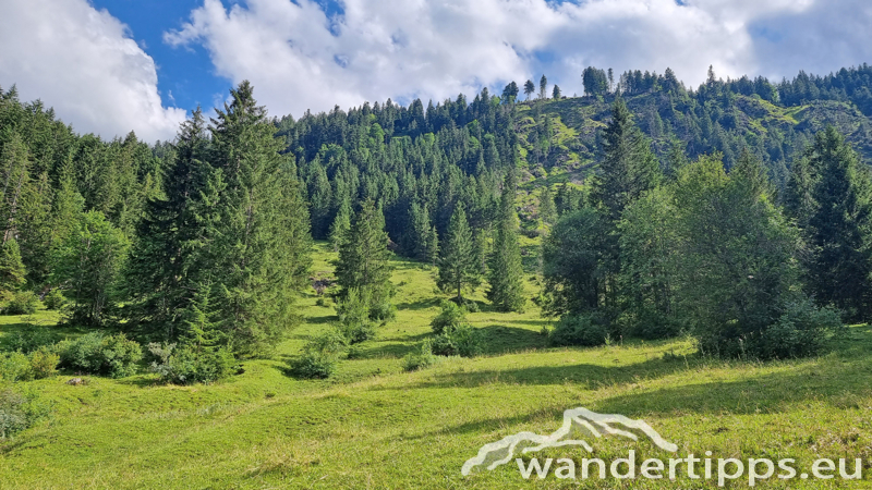 Krinnenalpe-Nesselwängler Edenalpe Abbildung 3