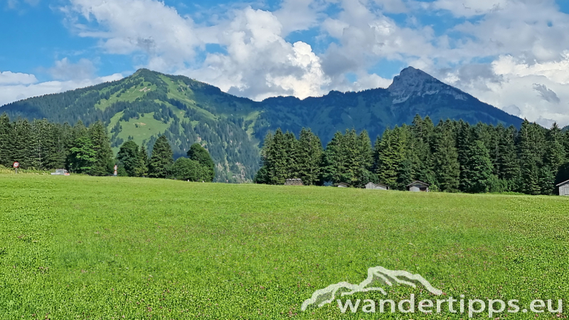 Krinnenalpe-Nesselwängler Edenalpe Abbildung 21